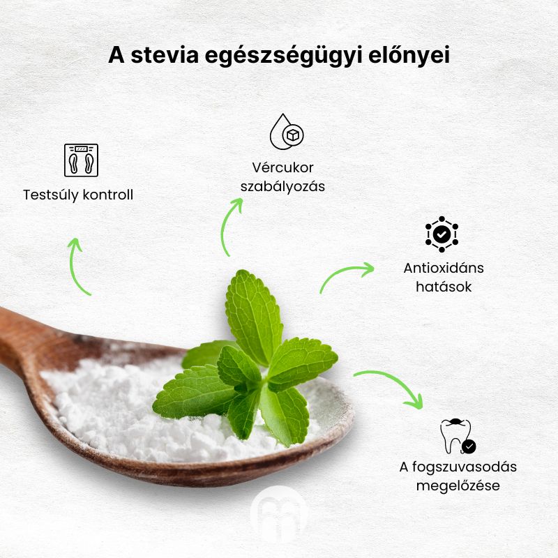 (Maďarština) Zdravotní přínosy stévie